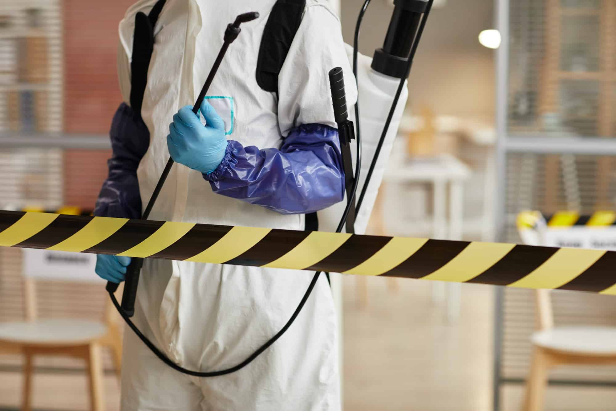 Best Pest Control Abu Dhabi