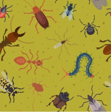 All Pest Control