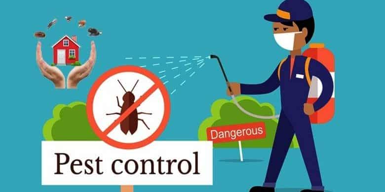 Pest Control Company in Abu Dhabi