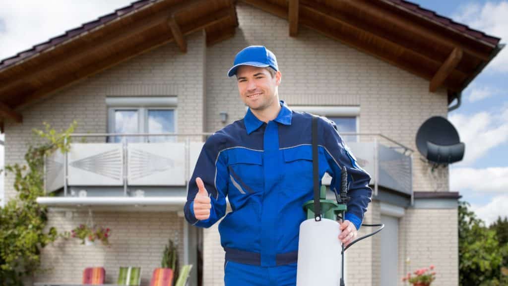 Cockroaches Pest Control Abu Dhabi