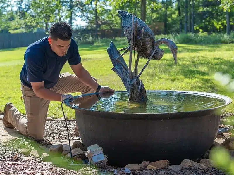 Flies and Mosquito Control