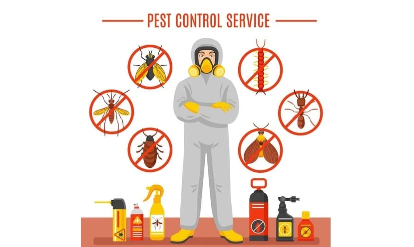 Pest Control Company in Abu Dhabi
