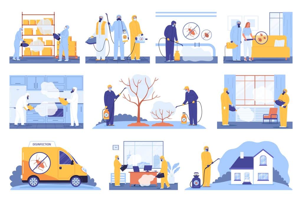 Pest Control Service for Construction Company