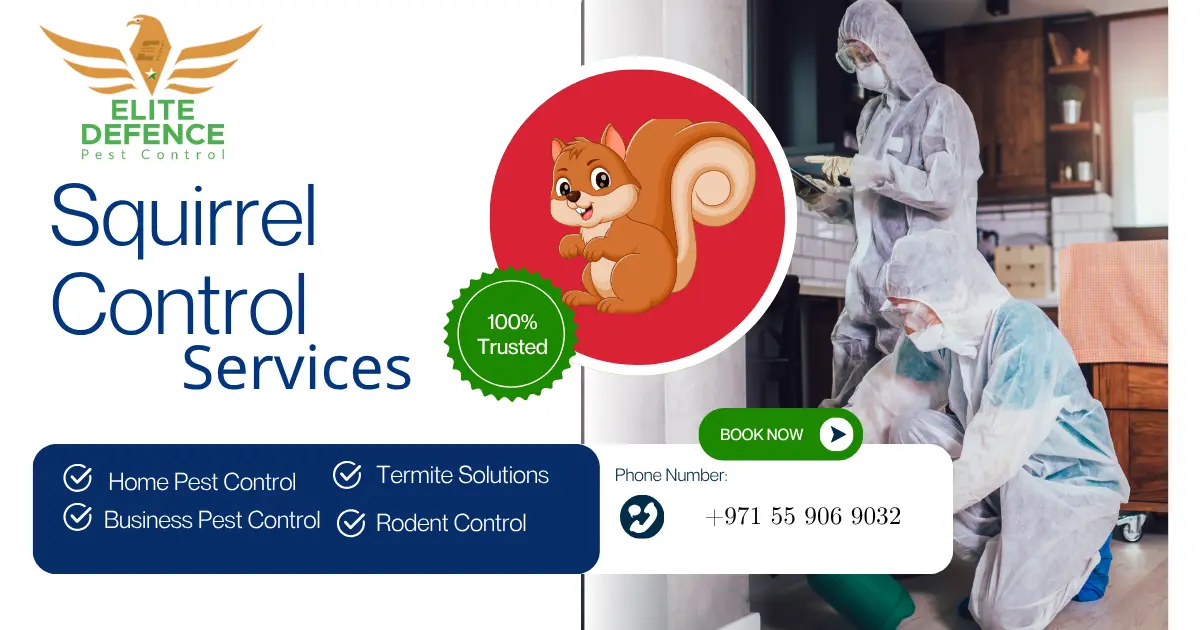 Best Squirrel Control Services in AbuDhabi
