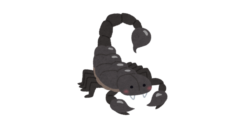 Affordable Scorpion Control Services in Abu Dhabi