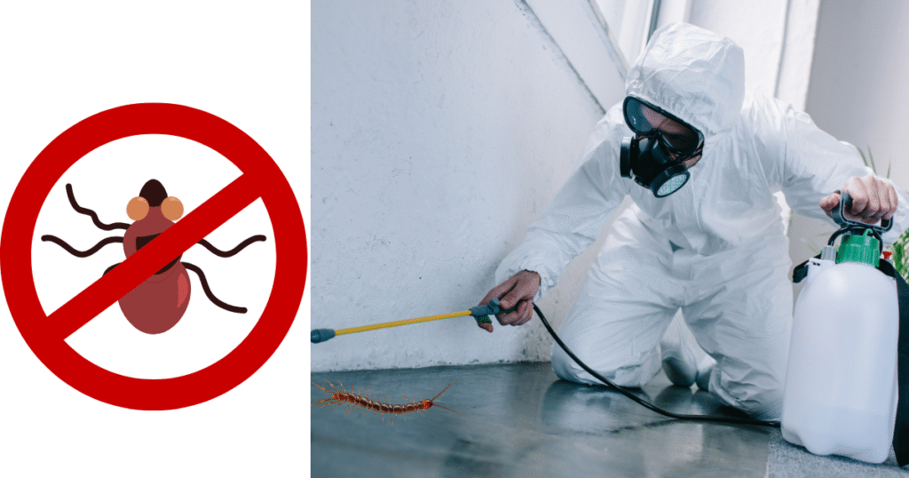 General pest control services in Abu Dhabi