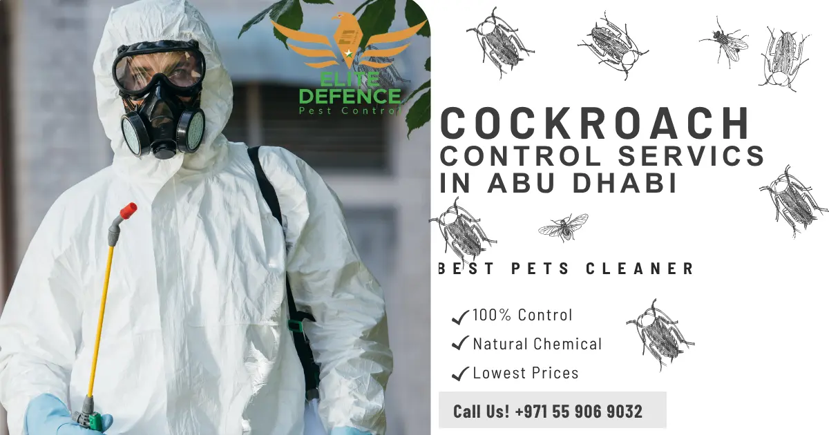 Cockroach Control Services in Abu Dhabi | Elite Defence Pest Control