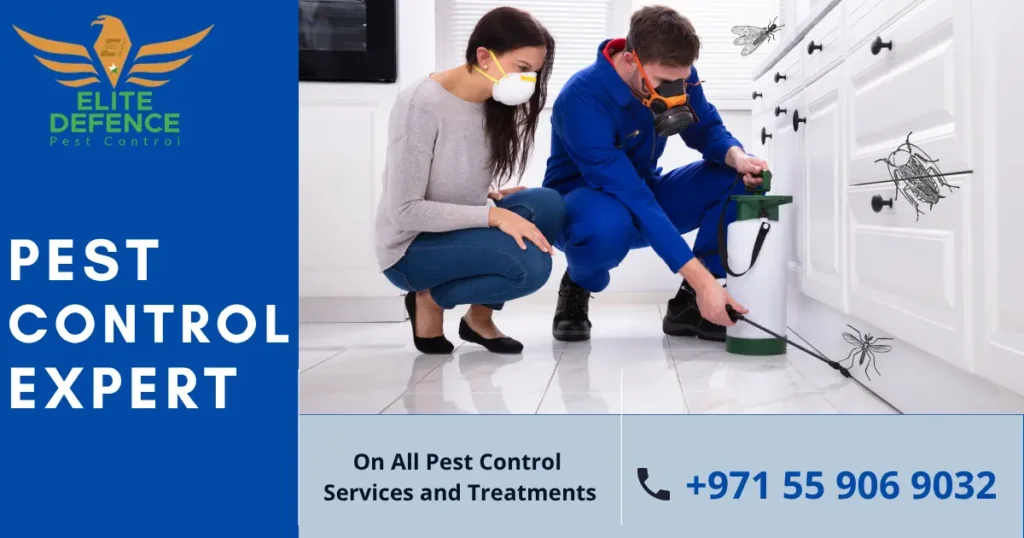 Best Cockroach killer Services in Abu Dhabi