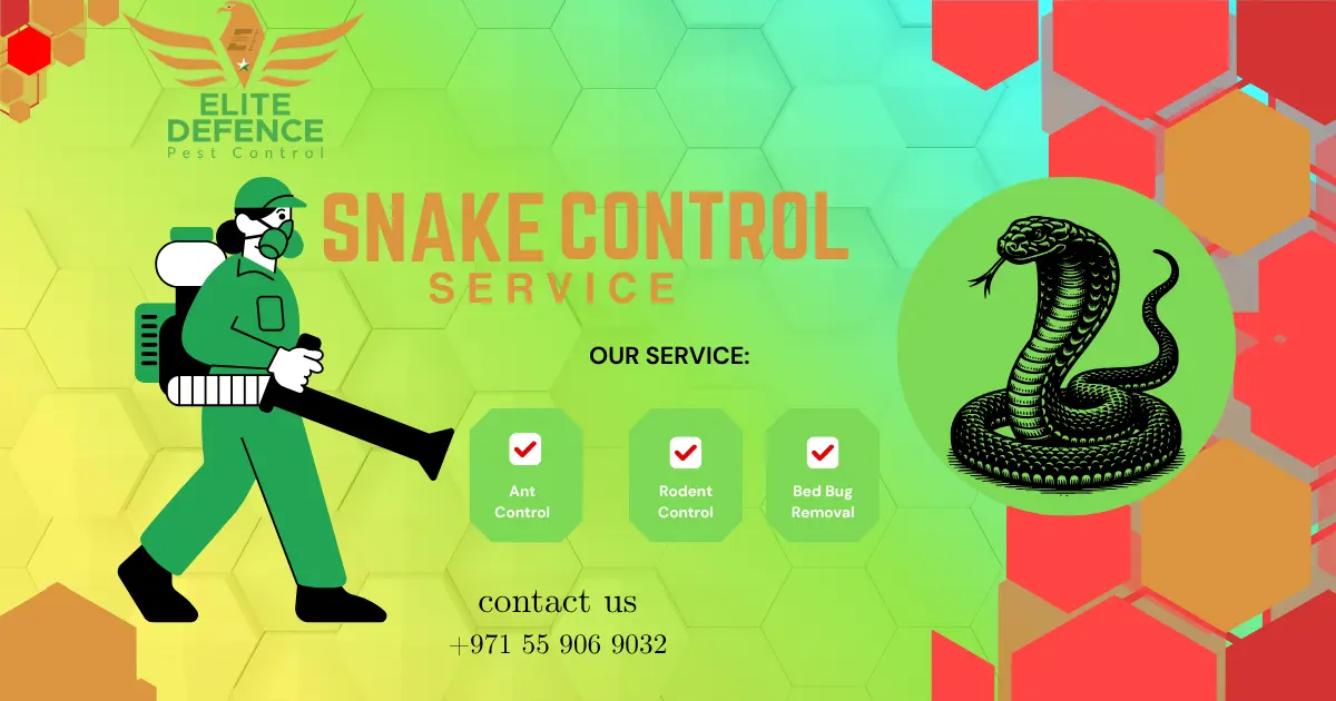 Expert Snake Control Services in Abu Dhabi
