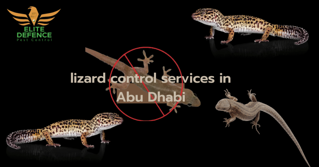 lizard control services in Abu Dhabi