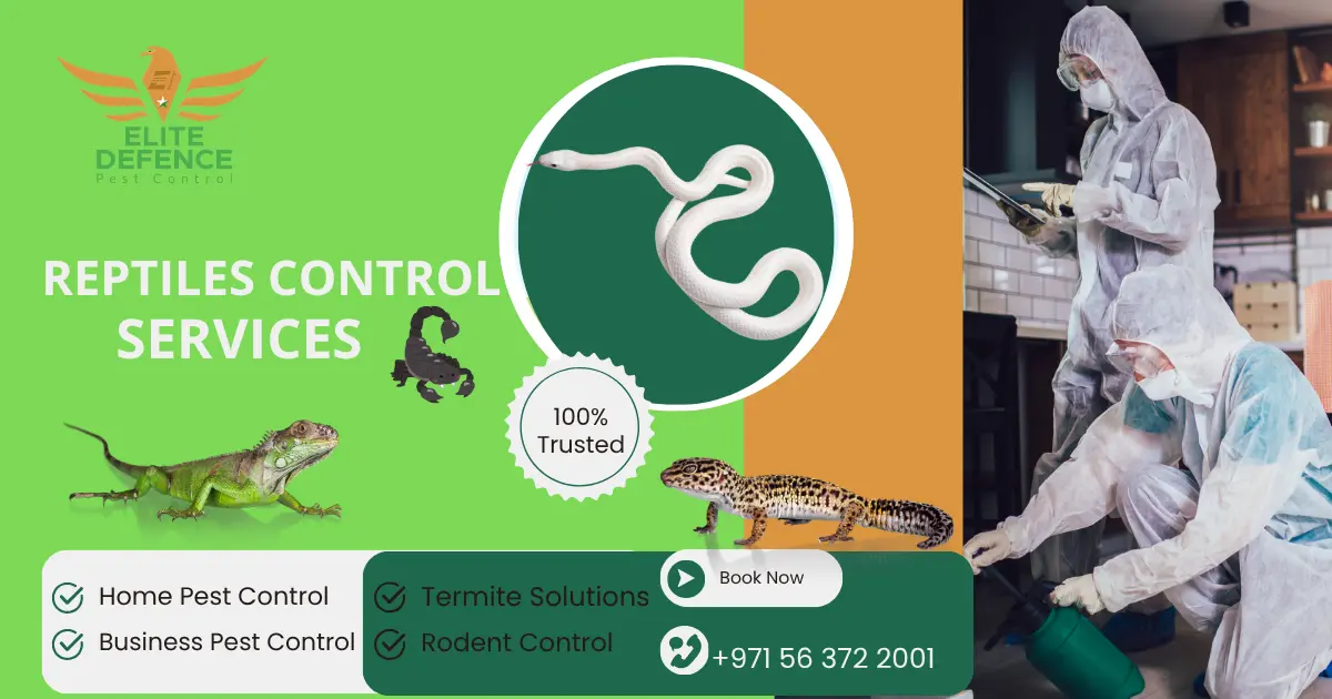 Professional Reptile Removal in Abu Dhabi
