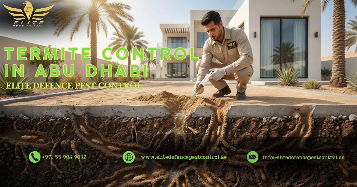 Termite control in abu dhabi