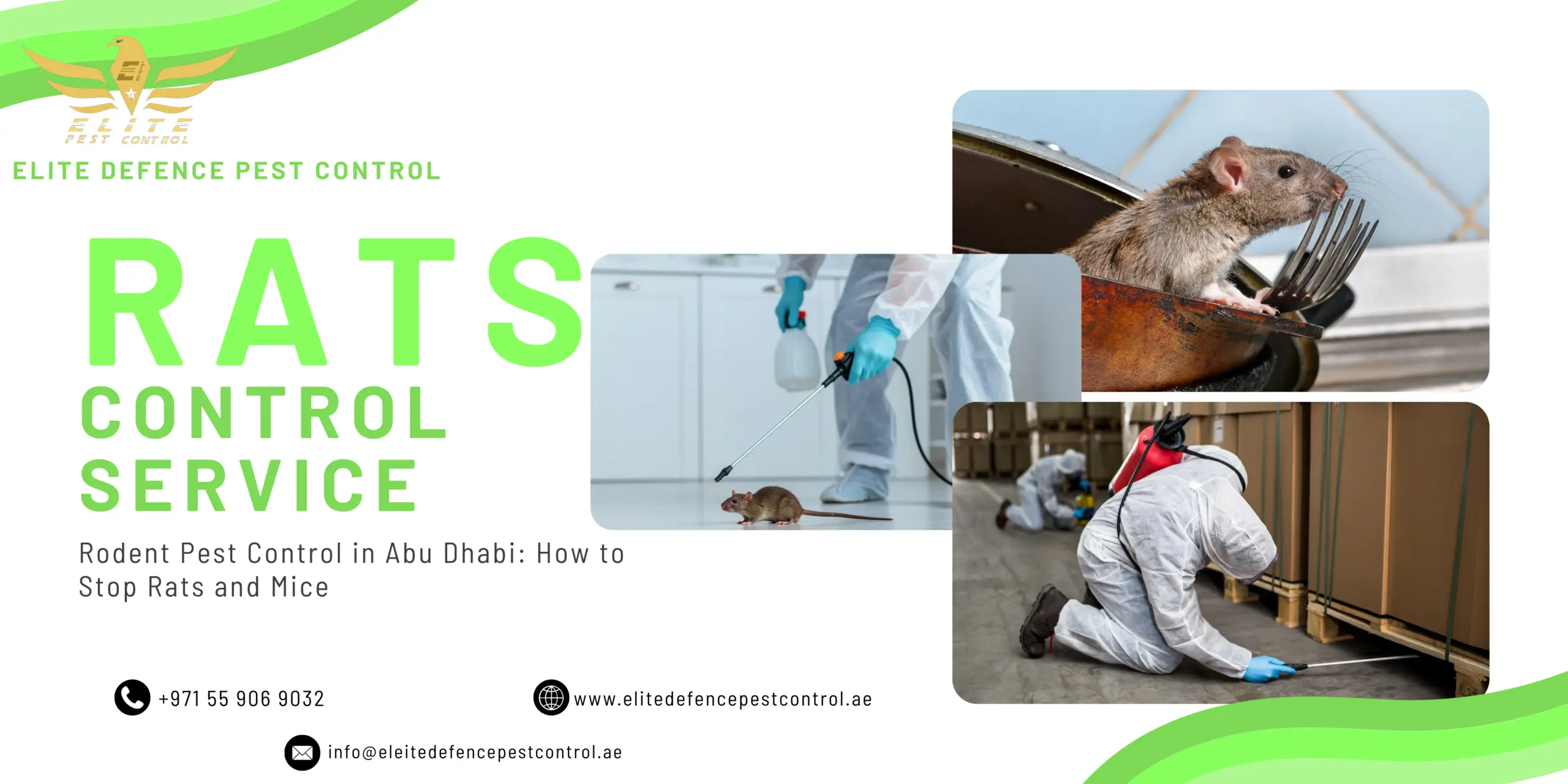 rodent-pest-control