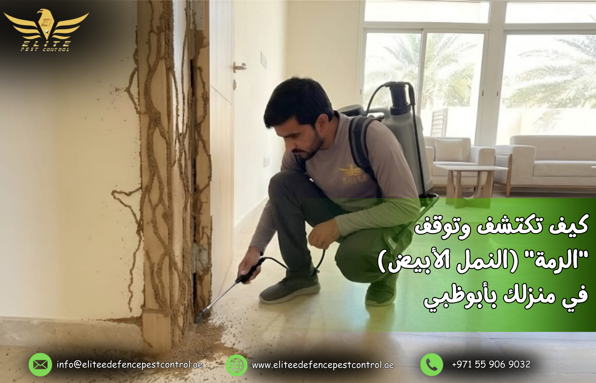 شركة مكافحة الرمة في أبوظبي تعالج الأبواب الخشبية