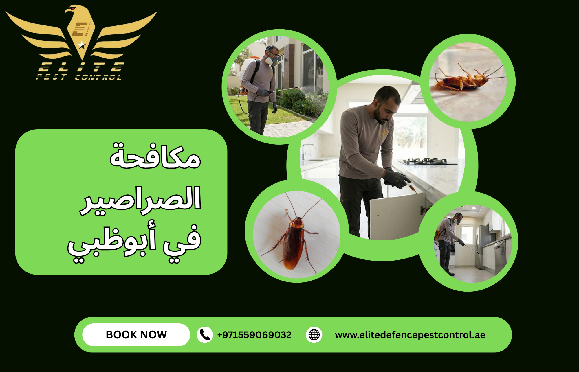 مكافحة الصراصير