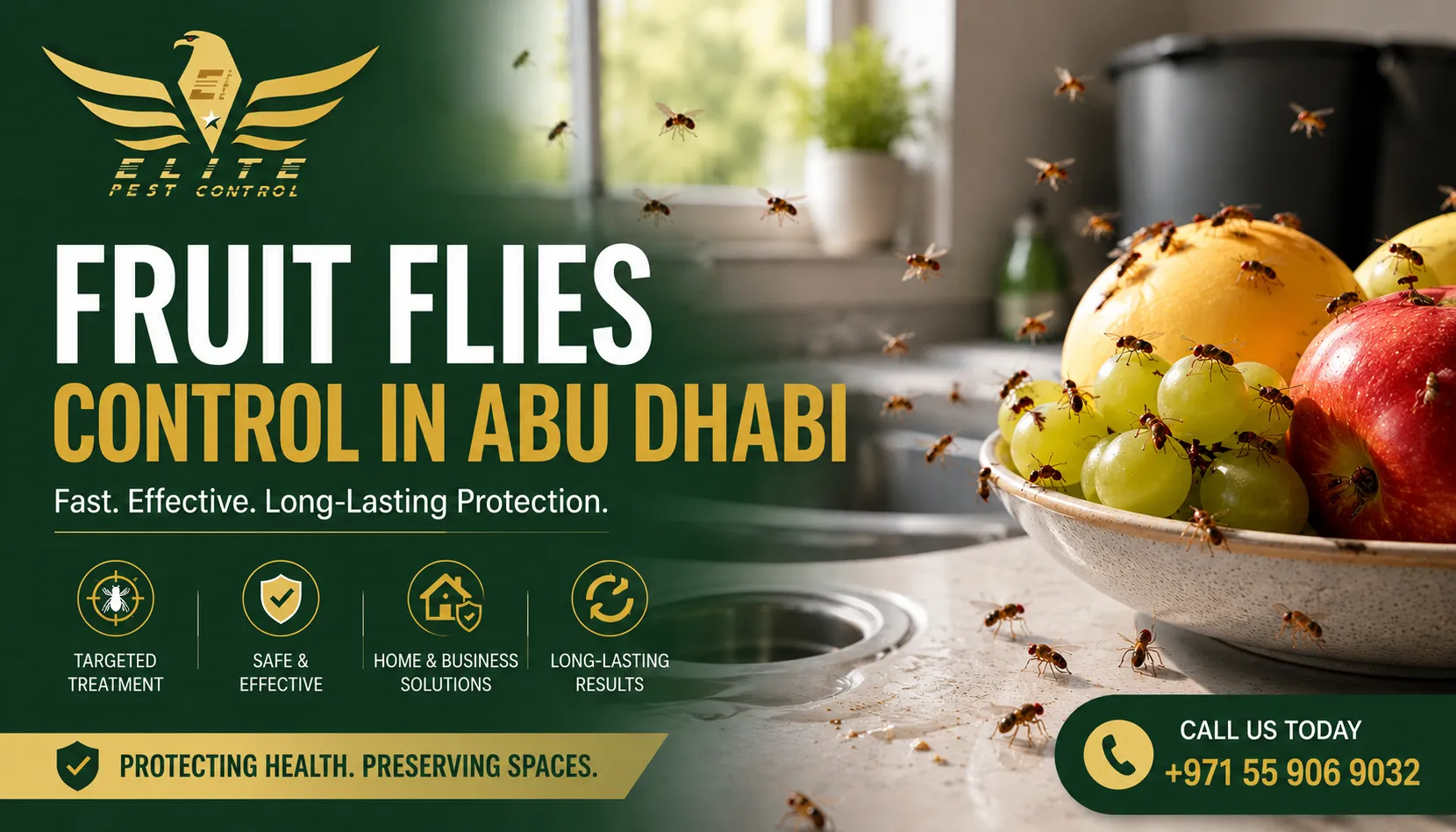 fruit flies control