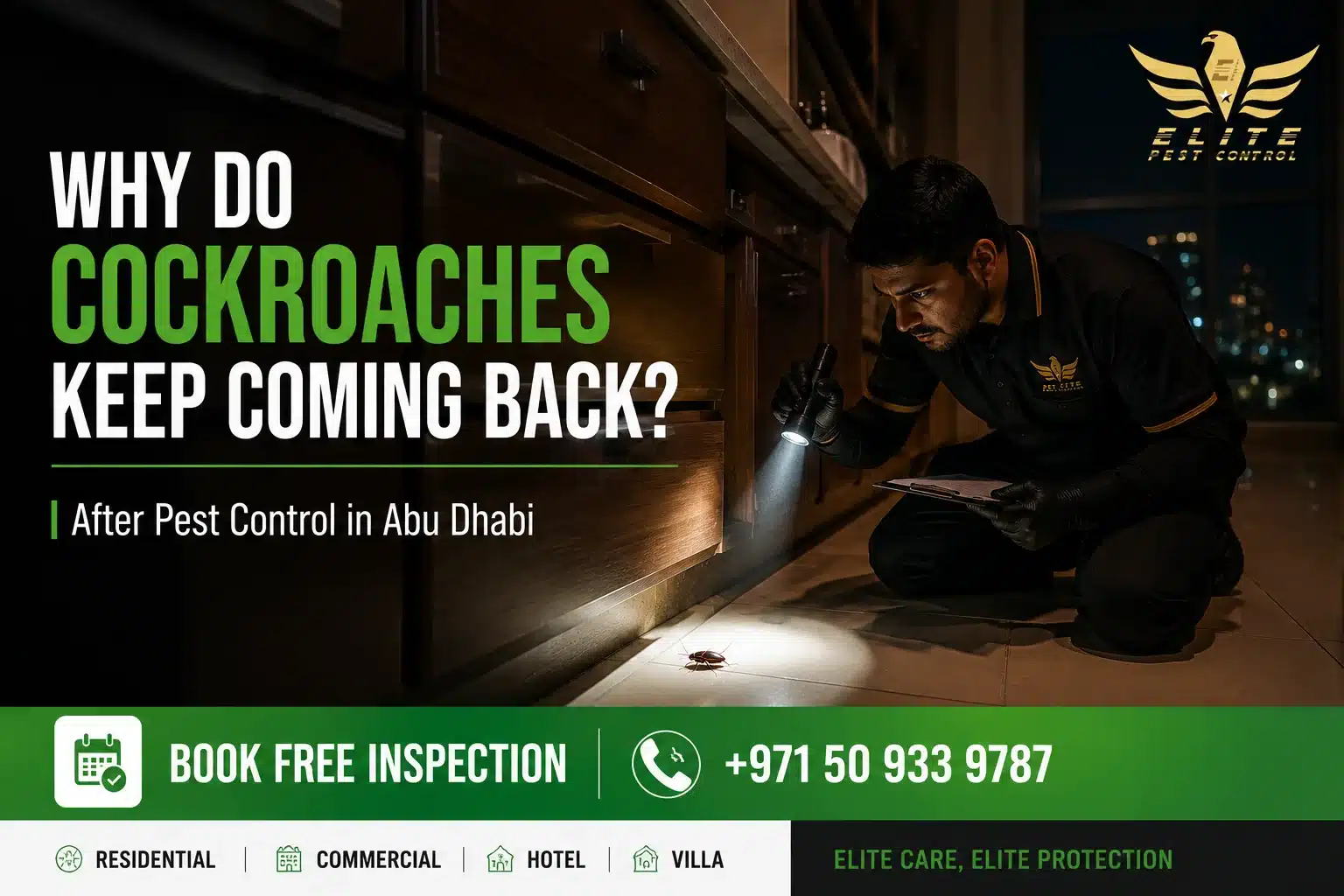 Why Do Cockroaches Keep Coming Back After Pest Control in Abu Dhabi