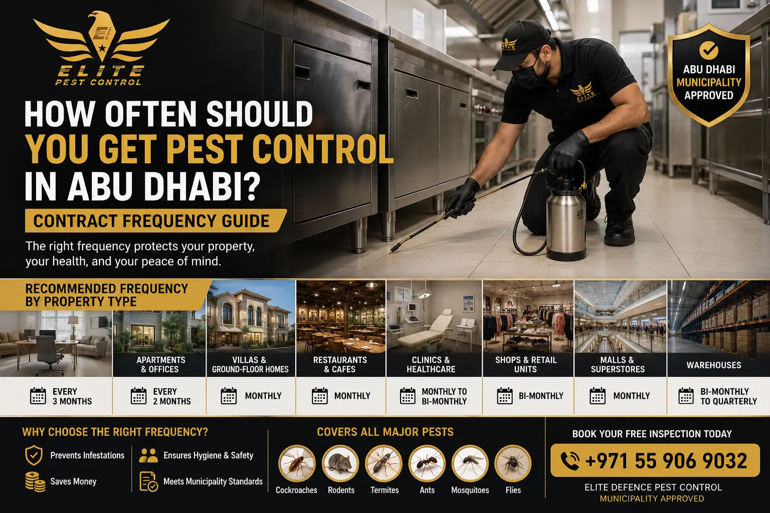 pest control frequency Abu Dhabi