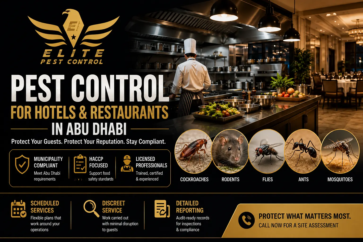pest control for hotels and restaurants in Abu Dhabi