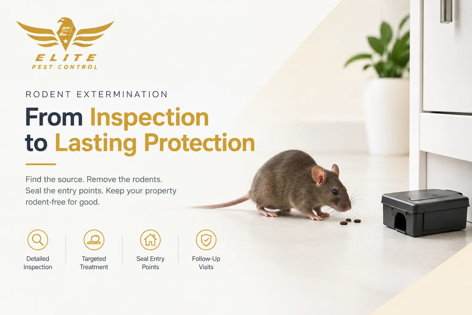 rodent exterminator from inspection to lasting abu dhabi