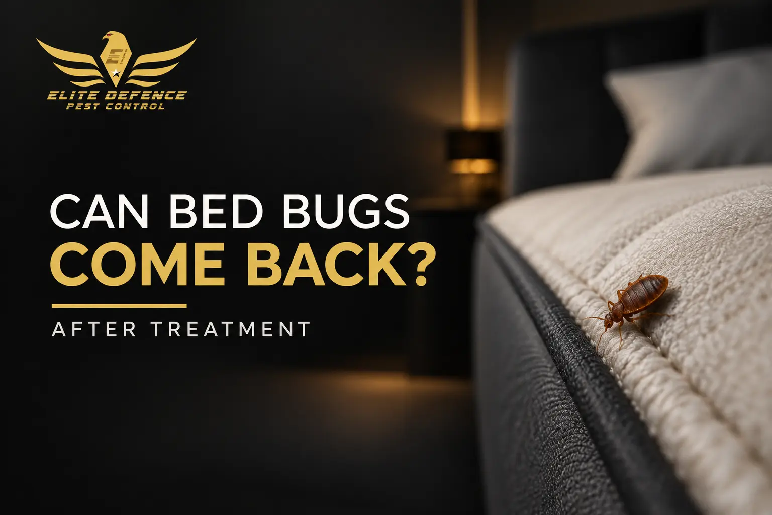bed bug return after treatment