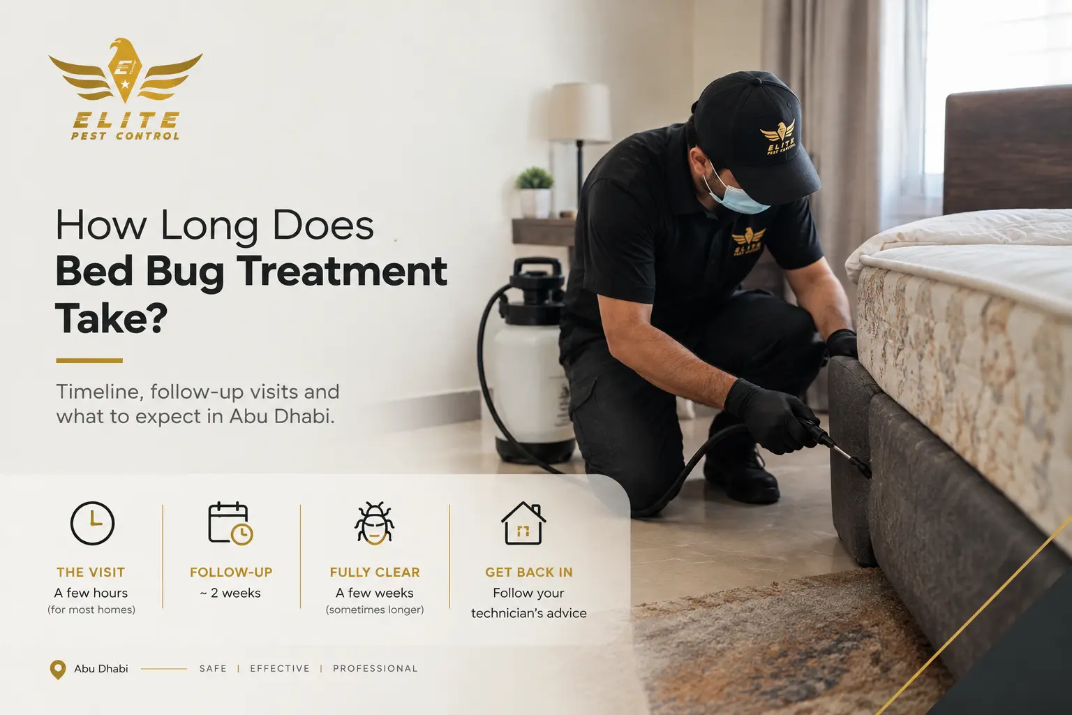 how long does bed bug treatment take in abu dhabi