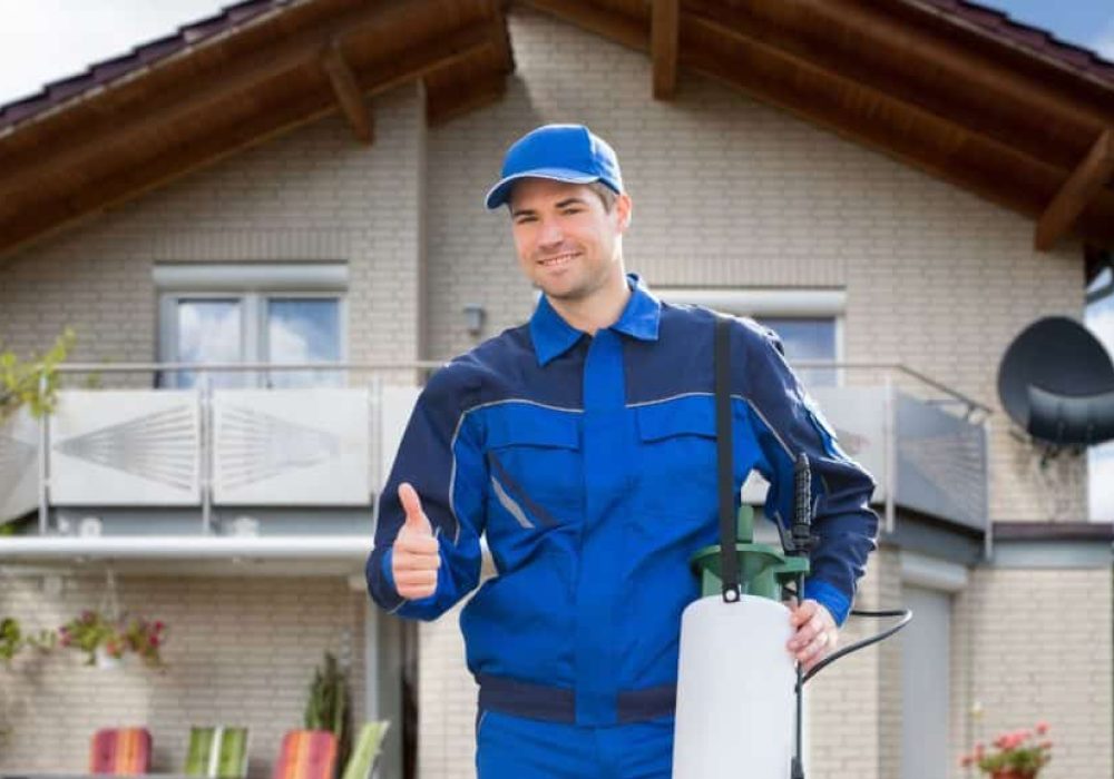 Cockroaches Pest Control Abu Dhabi